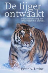 Vluchten, vechten of bevriezen, dat geldt volgens Peter Levine, auteur van De tijger ontwaakt, ook voor mensen in een traumatische situatie.